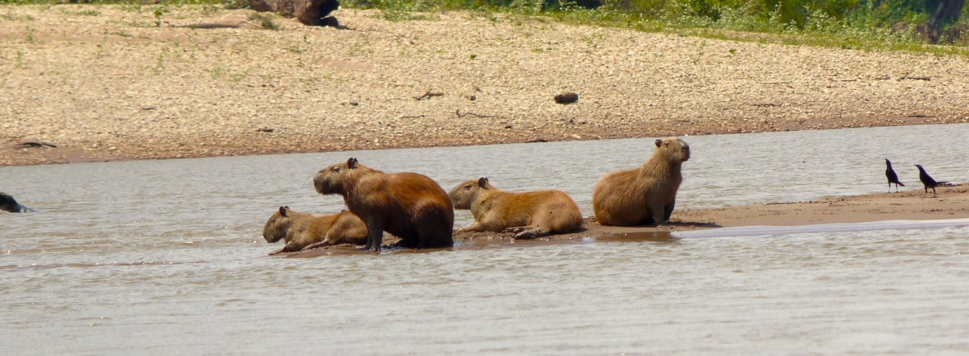 3931353986_1ff9acf3ec_k-min