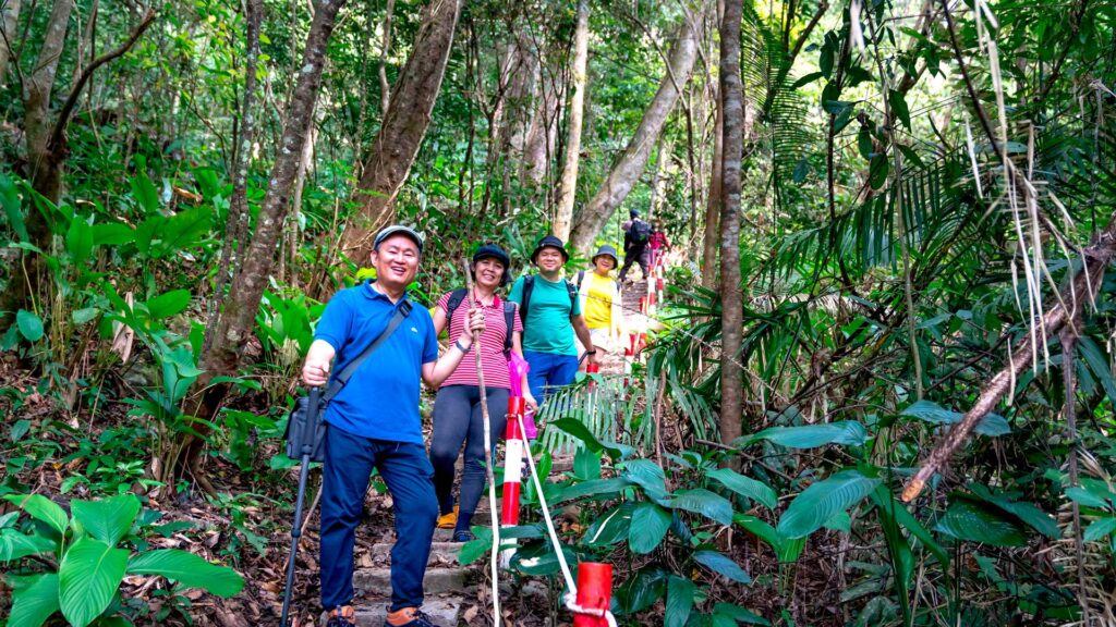 Manu Jungle Tour 3 Days 2 Nights | Amazon Peru Tours